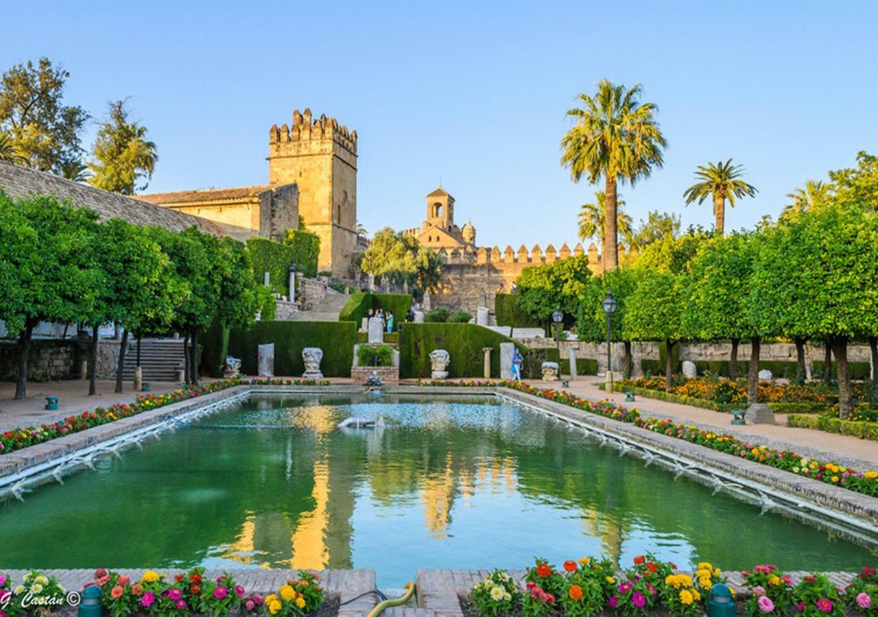 شقة *New* Cerca De La Mezquita قرطبة المظهر الخارجي الصورة
